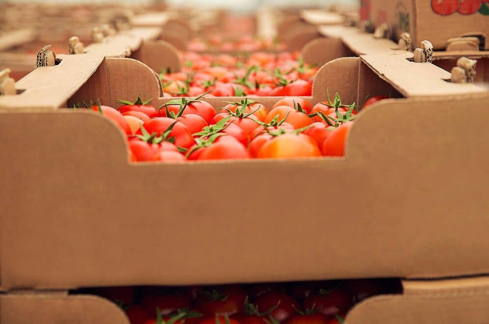 Transporte de alimentos