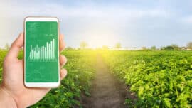 Como Controlar Despesas E Maximizar Margens De Lucro No Campo