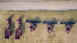 Produções Agrícolas