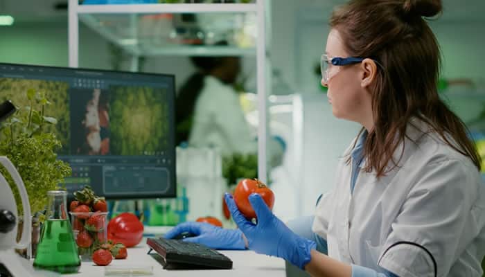 inspeção de alimentos