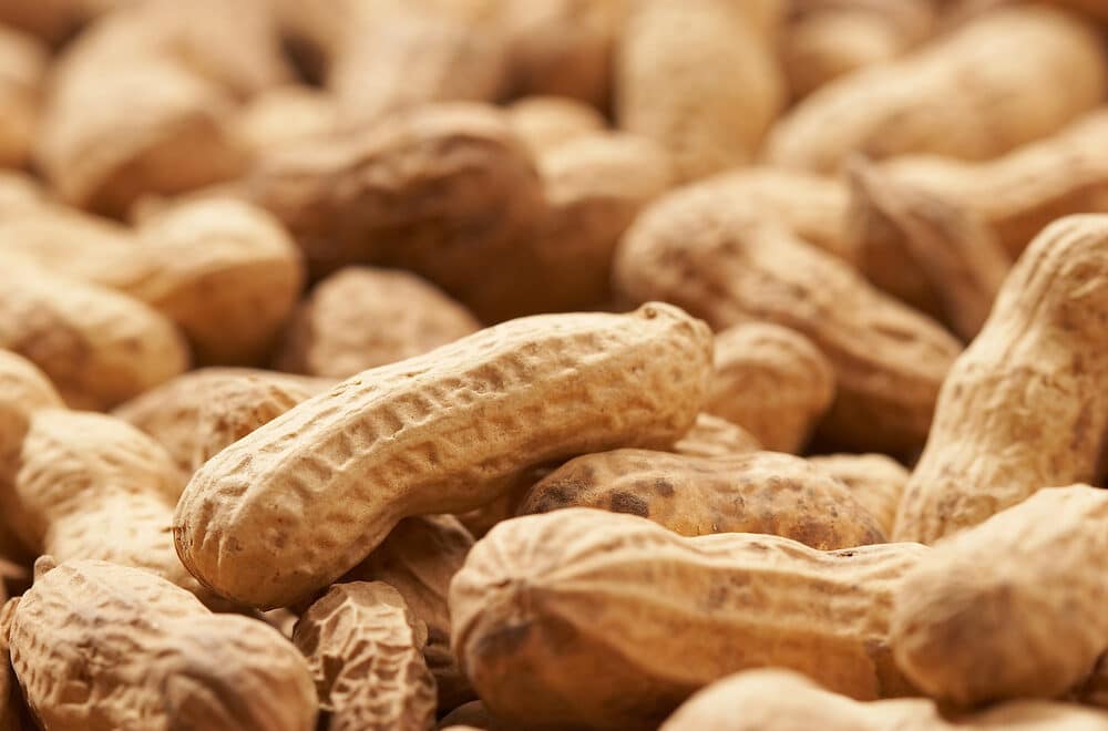 Controle De Qualidade Do Amendoim e Segurança Alimentar