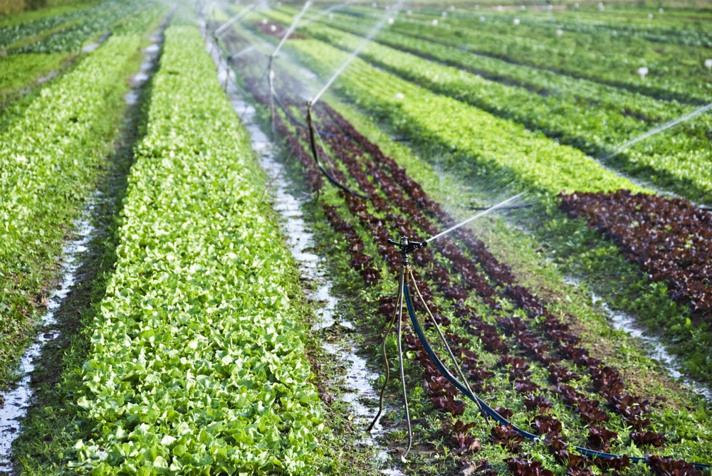Sistemas Agrícolas