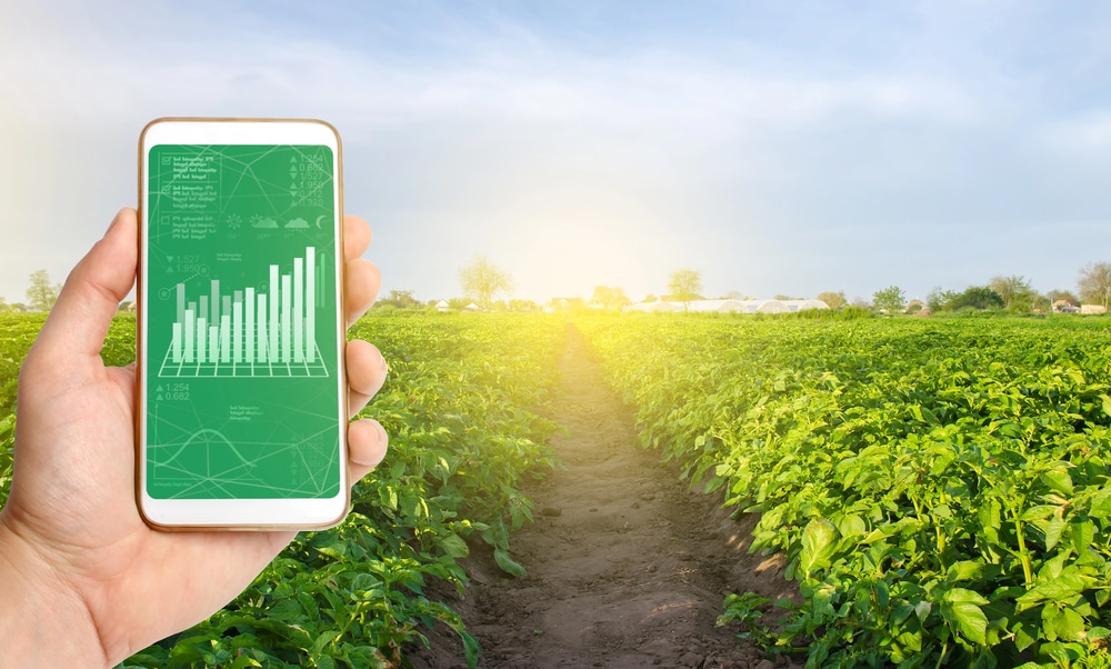 Como Controlar Despesas E Maximizar Margens De Lucro No Campo